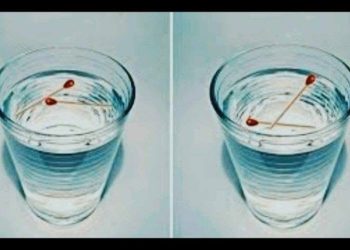 უძველესი ხერხი, რომლითაც გაიგებთ ხართ თუ არა გათვალული – ეს ბევრს დაეხმარა!