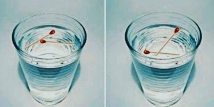 უძველესი ხერხი, რომლითაც გაიგებთ ხართ თუ არა გათვალული – ეს ბევრს დაეხმარა!