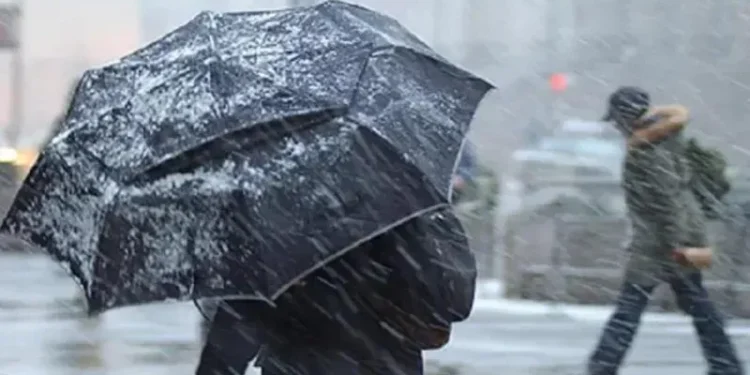 რამდენი დასვენების დღე დარჩა სასწავლო წლის ბოლომდე?