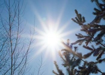 როგორი ამინდი იქნება 14-15 თებერვალს? – განახლებული პროგნოზი