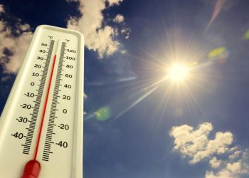 თებერვლისთვის უჩვეულო ტემპერატურა დაფიქსირდება