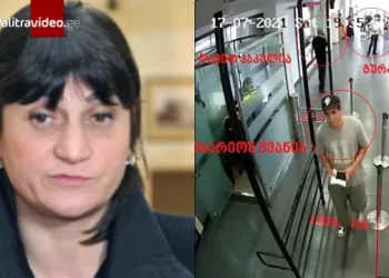 რა კომენტარს აკეთებს ზურაბ ჟვანიას მეუღლე შვილის ბრალდებაზე, ნიკო კვარაცხელიას მკვლელობის მონაწილეობის შესახებ?