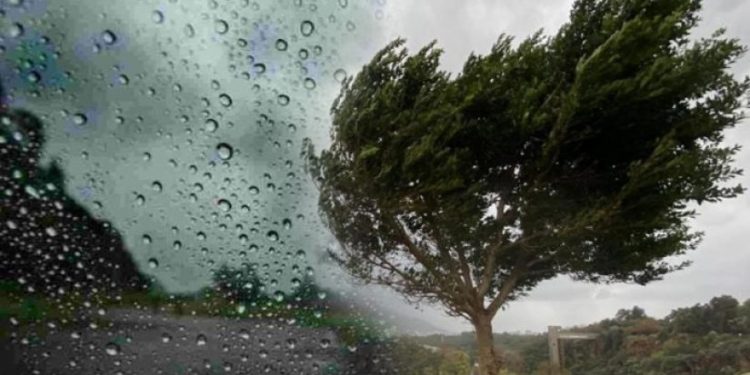 „წვიმა, თოვლი, ქარი…“ – განახლებული ამინდის პროგნოზი