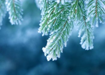 16 თებერვლის ამინდის პროგნოზი ქალაქების მიხედვით