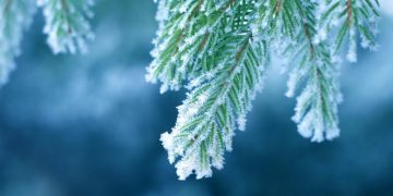 16 თებერვლის ამინდის პროგნოზი ქალაქების მიხედვით