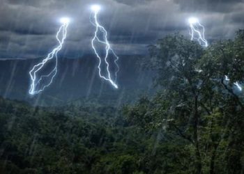 თოვლი, წვიმა, ქარბუქი! – როდემდე გაგრძელდება საქართველოში უამინდობა?