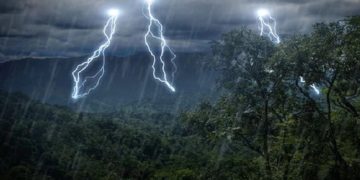 თოვლი, წვიმა, ქარბუქი! – როდემდე გაგრძელდება საქართველოში უამინდობა?