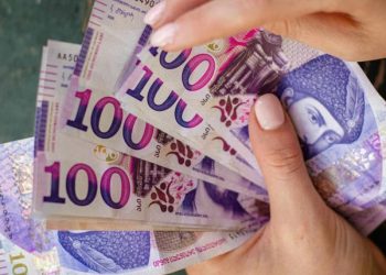 488 პირის ხელფასი იანვარში 100 ათას ლარს აჭარბებდა – რამდენი იღებდა ას ლარზე ნაკლებს