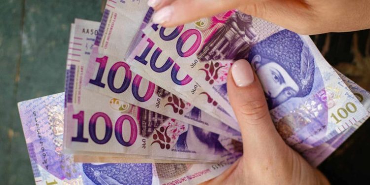 488 პირის ხელფასი იანვარში 100 ათას ლარს აჭარბებდა – რამდენი იღებდა ას ლარზე ნაკლებს