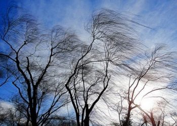 რამდენ ხანს გაგრძელდება ქარი და როდის გამოიდარებს საქართველოში?