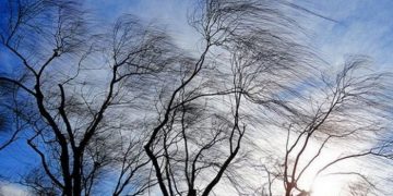 რამდენ ხანს გაგრძელდება ქარი და როდის გამოიდარებს საქართველოში?