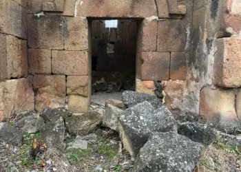 მოძრაობა „კულტურული მემკვიდრეობისთვის“ – სამშვილდეს აქვს პოტენციალი გახდეს საქართველოში ყველაზე საინტერესო ტურისტული არეალი, ის დღეს უპატრონოდ არის მიტოვებული და შველას საჭიროებს