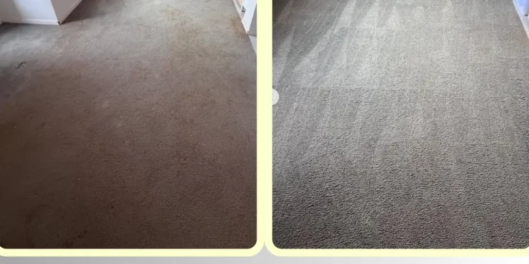 ოფისში ცუდი სუნის მთავარი მიზეზი — ხალიჩა, რომელსაც სწორად არ წმენდენ