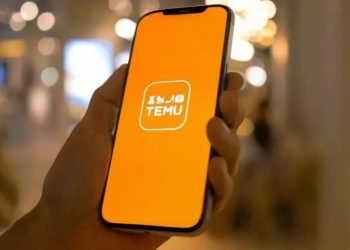 რამდენი ჩამოეჭრებათ საკომისიო ხვალიდან Temu-დან ან მსგავსი პლატფორმებიდან ნივთის გამოწერის შემთხვევაში?