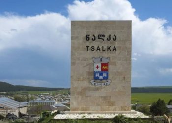 წალკაში ცოფის შემთხვევა გამოვლინდა – ქალაქში კარანტინია გამოცხადებული